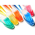 Dental Brushes