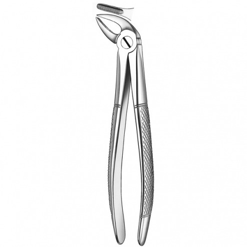 4 INCISIVE-CANINE FORCEPS INF. Img: 201807031