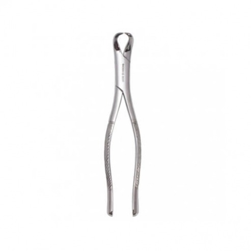Cow Horn Forceps - Fig 23 Img: 202109111