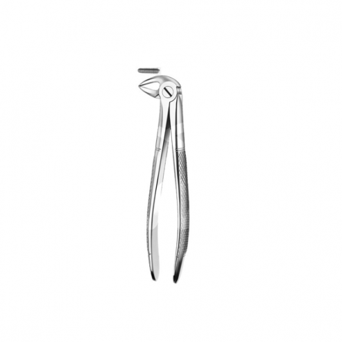 M5033A FORCEPS MATE RAICES INF. ****** Img: 202204301