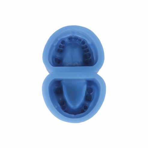 Silicone Mold for Edentulous Dental Prostheses - Unit. Img: 202404131
