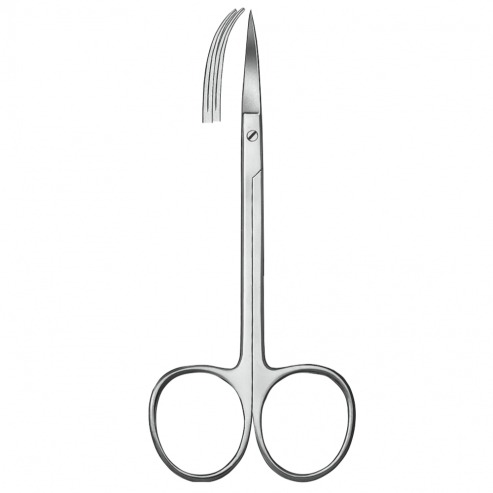 KDM scissors for curve gingiva Img: 202203051