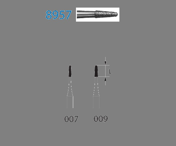 8957.314. Diamond Cylindrical Round FG Burs (5 pcs.) - T: 009 - G: Fine Img: 202507191
