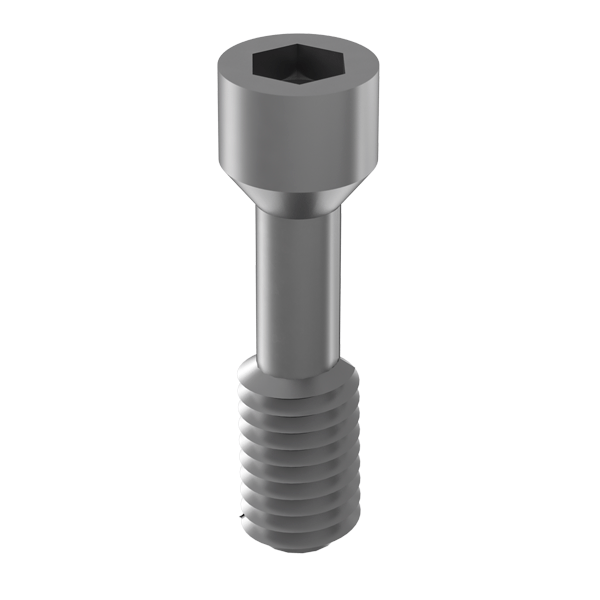 TITANIUM SCREW C.EXT HEX. M1.6 NP Img: 201807031