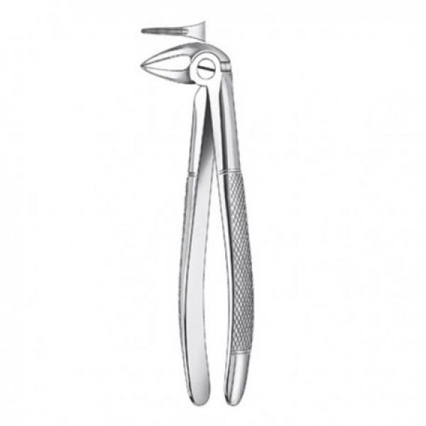 133 1/2 FORCEPS RAICES INFER. Img: 201811031