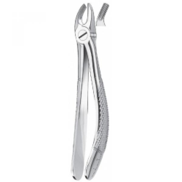 39 FORCEPS MOLAR CHILDREN SUP. Img: 201811031