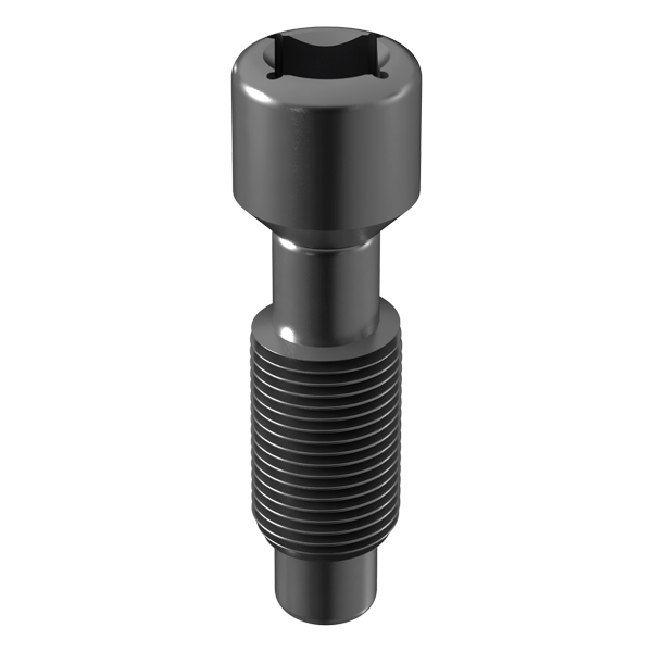 TIT SCREW. C.EXT.HEX.CHECKED M2 R2 Img: 201807031