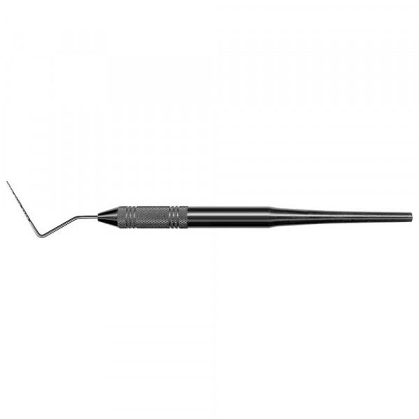 South Dakota 12: LM brand periodontal instrument - Ring Tip / Plastic Handle Img: 202503081