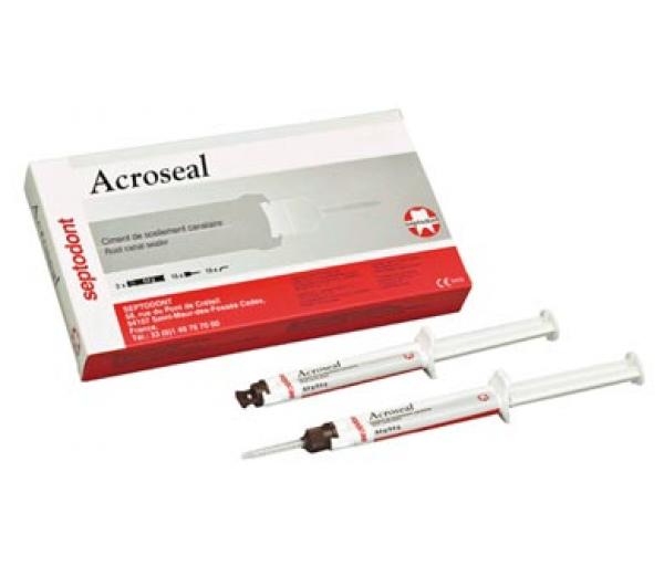 Acroseal Duct Sealer (8,5gr+9,5gr) Img: 201906221