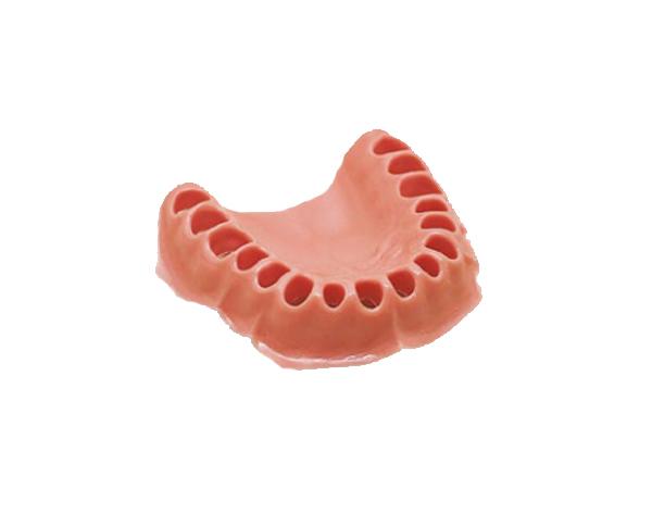 Typodont  AG-3: Upper and lower replacement gingiva - Maxilar WOK Img: 202112111