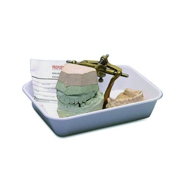 Model Holder Tray Img: 202304081