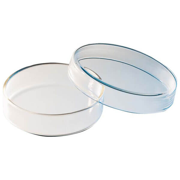 Autoclavable Glass Petri Dishes Resistant to Temperature Changes - 100 mm (4 divisions) Img: 202508091