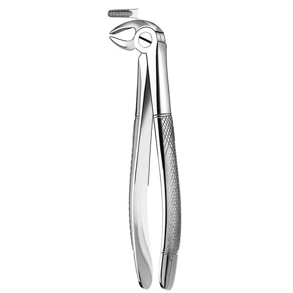 13 LOWER PREMOLAR FORCEPS Img: 201807031