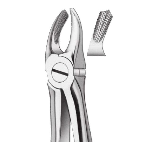 17K FORCEPS CHILDREN MOLAR DCHO. Img: 202110091