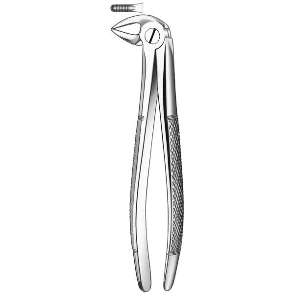 33 LOWER FORCEPS Img: 201807031