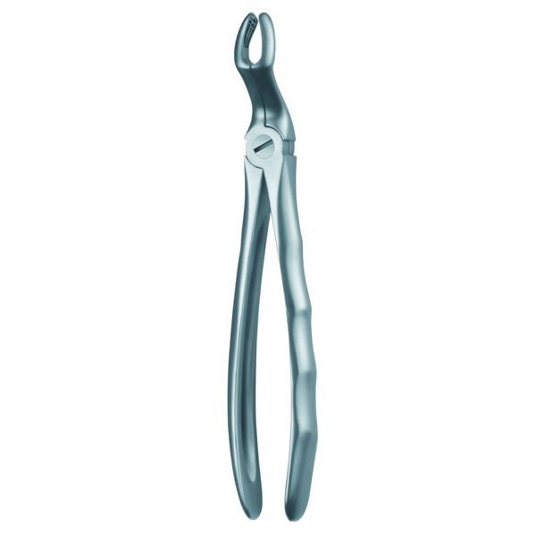 67A FORCEPS CORDAL SUPERIOR Img: 201807031