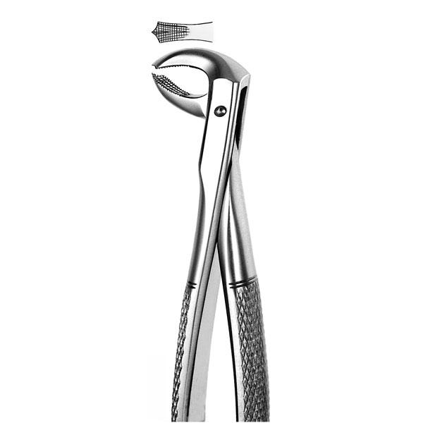 M73 FORCEPS PREMOLAR INF Img: 201807031