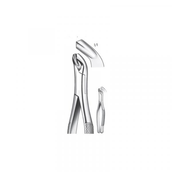 409/17 LOWER MOLAR FORCEPS Img: 201811031