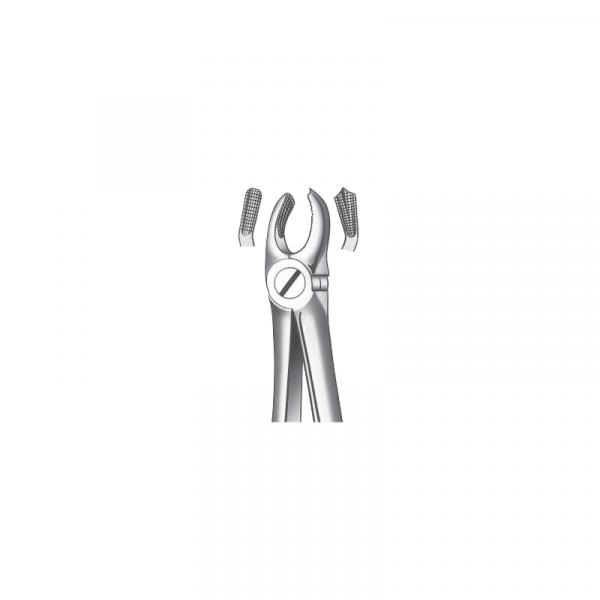 M2017 FORCEPS MOLAR SUP. DCHO. Img: 201811031