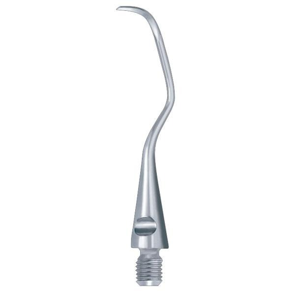 1600SP / 4L PUNTA REP. Img: 201807031