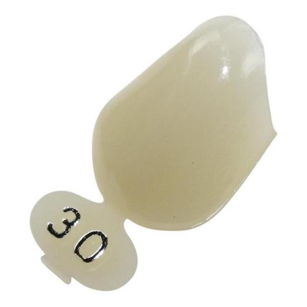 POLYCARBONATE CORONES No. 30 Img: 202110021