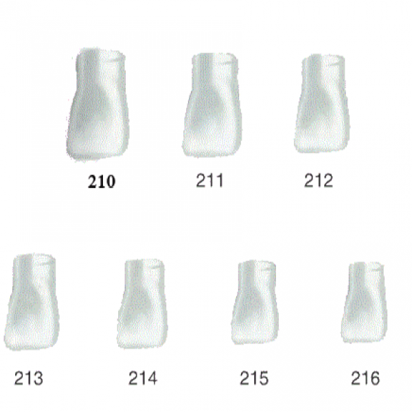 CENTRAL INCISIVE TEMPORARY CROWNS UPPER LEFT Img: 201807031