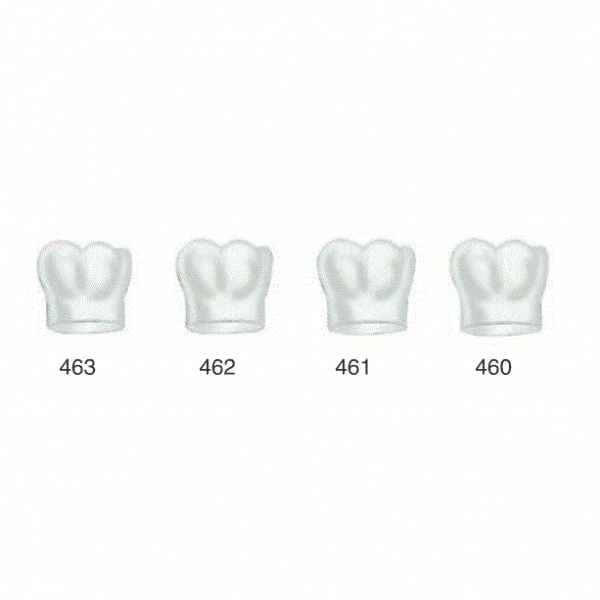 TEMPORARY CROWNS FIRST LOWER RIGHT MOLAR FRASACO