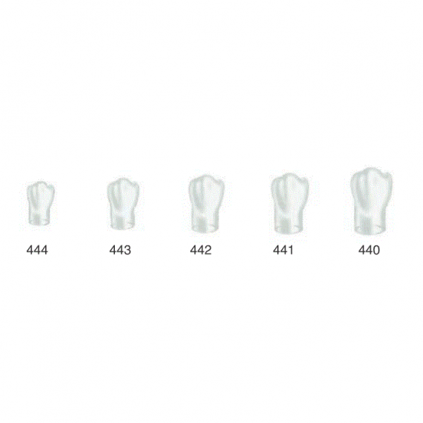 TEMPORARY CROWNS FIRST LOWER PREMOLAR RIGHT Img: 201807031