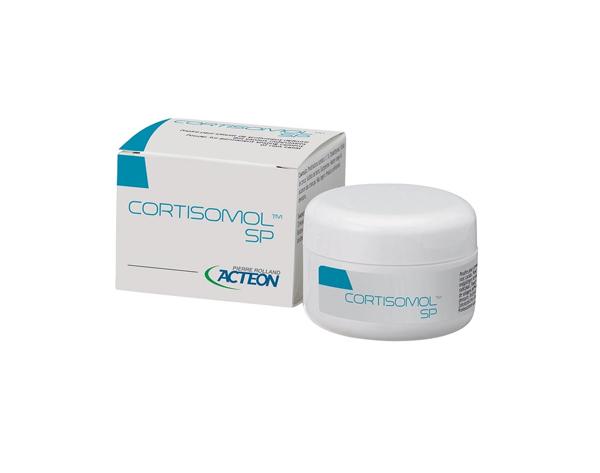 Cortisomol SP: Cement for Definitive Canal Fillings (25 gr) Img: 202107101
