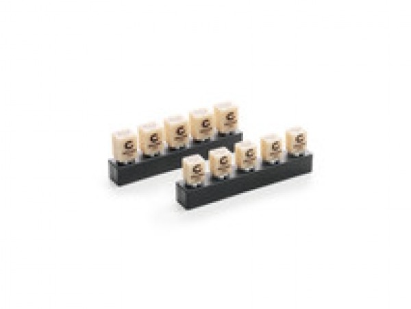 Brilliant Crios LT Cerec blocks for cad/cam (5ud) - HT A1-14 (5ud) Img: 202205141