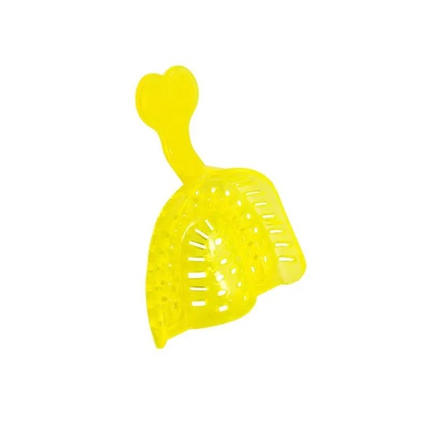 Disposable Plastic Printing Trays (10 pcs) - XL Upper Img: 202303041