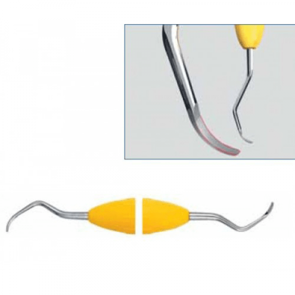 UNIVERSAL CURTAIN FOR PERIODONCIA Img: 202109111
