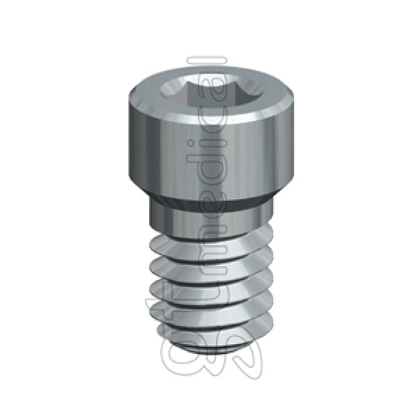 External Hexagonal Attachment Screw (Microdent® Universal MT Special® ø5.1)-1,20 Key. Img: 202010171