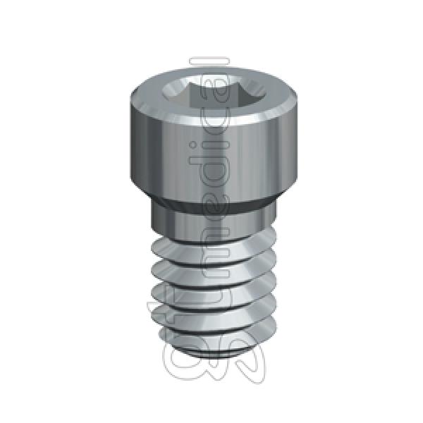 External Hexagonal Attachment Screw (Nobel Biocare® Branemark® WP ø5.0)-1,20 Key. Img: 202010171