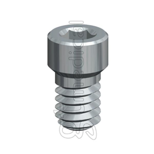 Internal Hexagonal Attachment Screw (Zimmer TSV® ø5.7)-1,20 Key. Img: 202010171