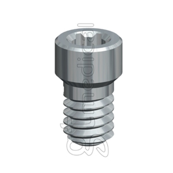 Internal Hexagonal Attachment Screw (Zimmer TSV® ø5.7)-Llave UG Img: 202010171