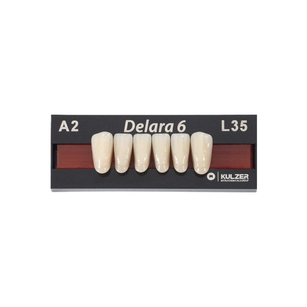 Delara: Anterior/Lower Teeth L38 A3 (6 pcs.) - L38 A3 Img: 202212241