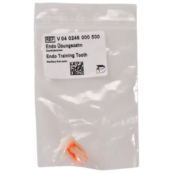 Endo Practice Tooth Img: 202503151