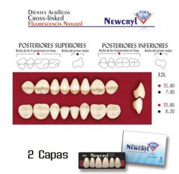 NEWCRYL-VITA 32L Upper A2 Teeth Img: 201807031