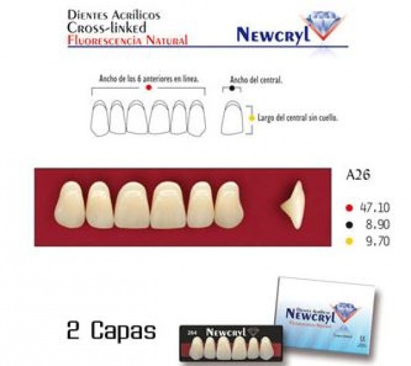 NEWCRYL-VITA TEETH A26 UP C3 Img: 202302251