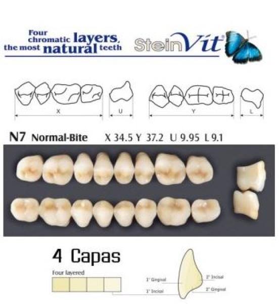 TEETH STEINVIT N7 LO A1 Img: 201807031