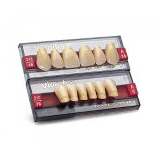 Lower anterior VIVODENT S PE teeth A3 IVOCLAR VIVADENT