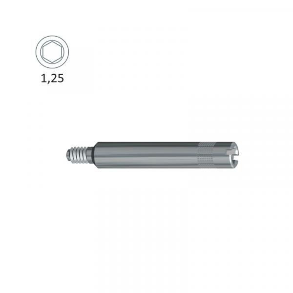 External Hexagonal Attachment Screw (Biomet 3i® ø4.1)-1,25 Key. Img: 202010171