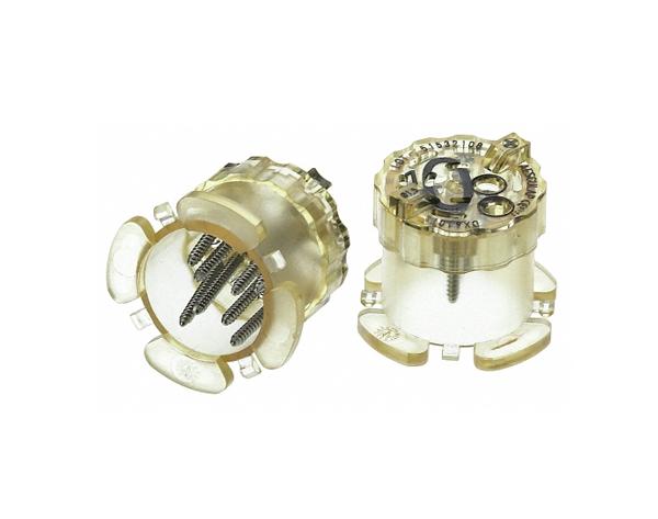 Ergoplant: bone fixation (10 mm) Img: 202202121