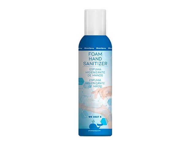 Hand Sanitizing Foam (200 ml) Img: 202101161