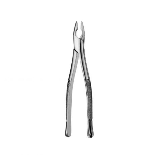 Apical Forceps Anterior, Superior - FAF1 Img: 202304151