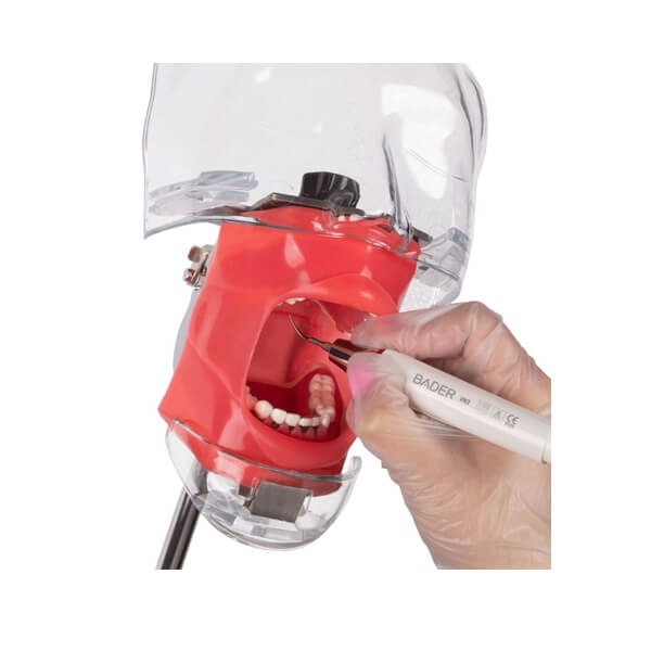 Periodontal Phantom to Practice Img: 202312021