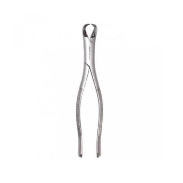 Cow Horn Forceps - Fig 23 Img: 202109111