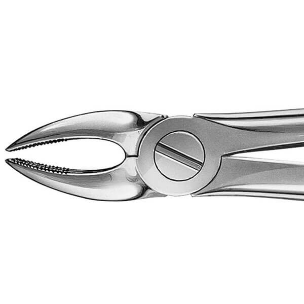 Anatomical Dental Forceps for Extraction - 2 Img: 202508091