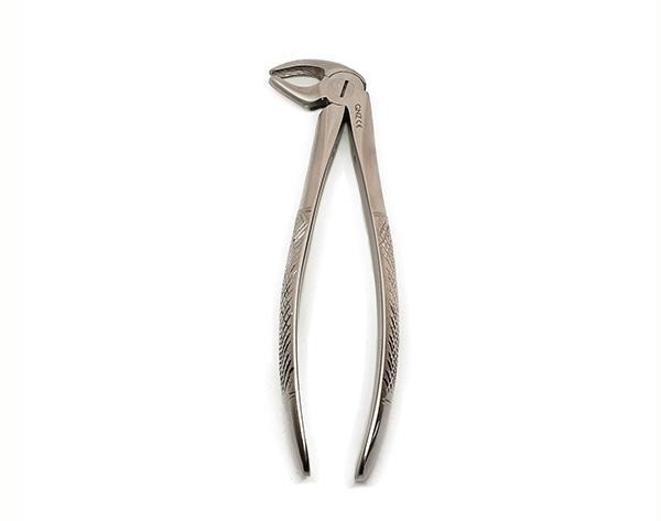 Forceps Figure 13 - Stainless Steel - Stainless Steel Img: 202202121